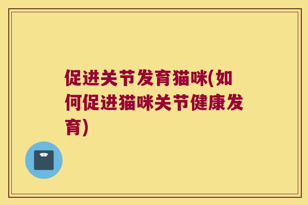 促进关节发育猫咪(如何促进猫咪关节健康发育) 促进关节发育猫咪(如何促进猫咪关节健康发育)