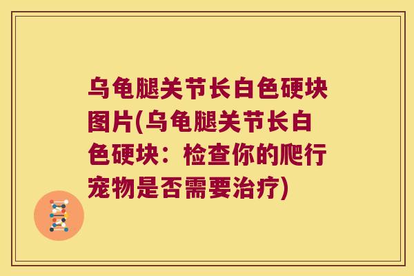 乌龟腿关节长白色硬块图片(乌龟腿关节长白色硬块:检查你的爬行宠物是否需要) 乌龟腿关节长白色硬块图片(乌龟腿关节长白色硬块:检查你的爬行宠物是否需要)