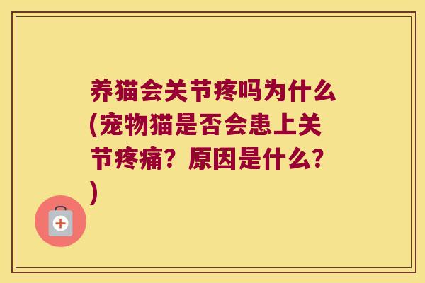 养猫会关节疼吗为什么(宠物猫是否会患上关节疼痛?原因是什么?)