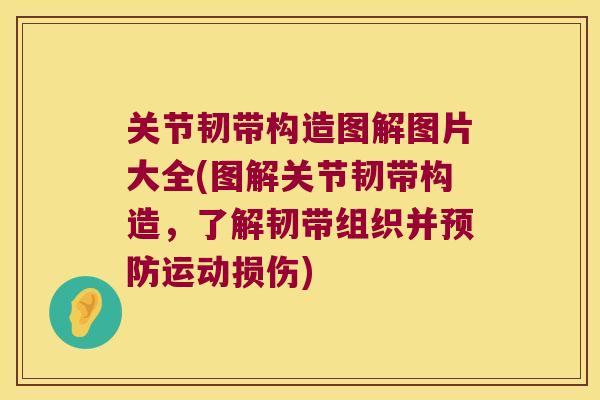 关节韧带构造图解图片大全(图解关节韧带构造,了解韧带组织并预防运动损伤)