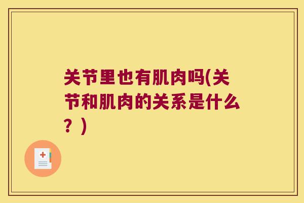 关节里也有肌肉吗(关节和肌肉的关系是什么?)