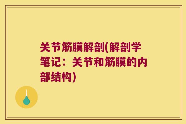 关节筋膜解剖(解剖学笔记:关节和筋膜的内部结构)
