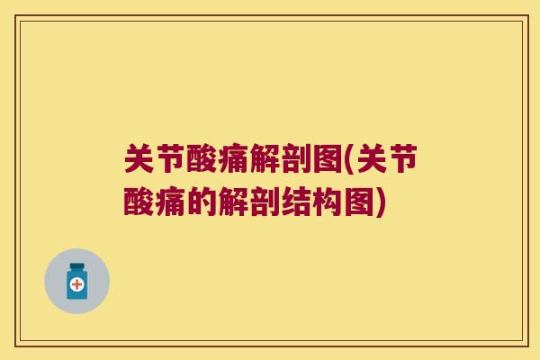 关节酸痛解剖图(关节酸痛的解剖结构图)