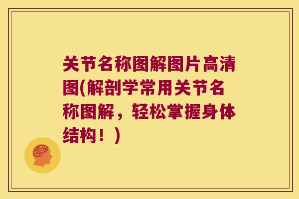 关节名称图解图片高清图(解剖学常用关节名称图解,轻松掌握身体结构!)