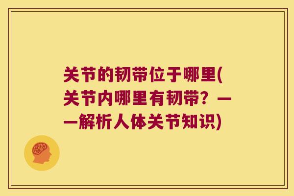 关节的韧带位于哪里(关节内哪里有韧带?——解析人体关节知识)