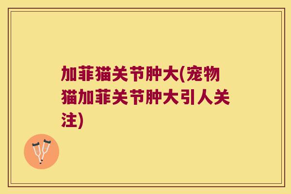 加菲猫关节肿大(宠物猫加菲关节肿大引人关注) 加菲猫关节肿大(宠物猫加菲关节肿大引人关注)