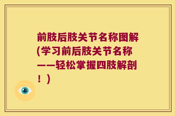 前肢后肢关节名称图解(学习前后肢关节名称——轻松掌握四肢解剖!)
