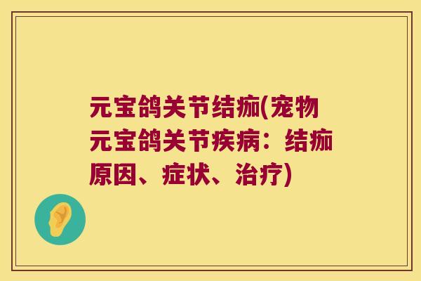 元宝鸽关节结痂(宠物元宝鸽关节:结痂原因、症状、) 元宝鸽关节结痂(宠物元宝鸽关节:结痂原因、症状、)