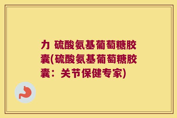 力 硫酸氨基葡萄糖胶囊(硫酸氨基葡萄糖胶囊：关节保健专家)