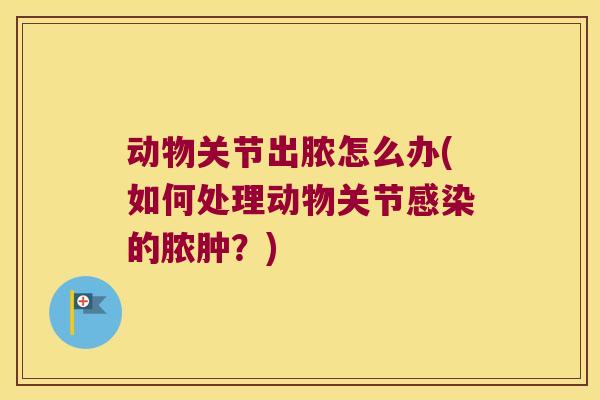 动物关节出脓怎么办(如何处理动物关节的脓肿？)