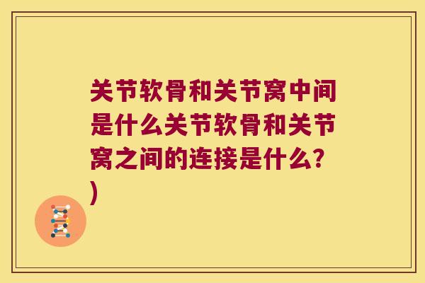 关节软骨和关节窝中间是什么关节软骨和关节窝之间的连接是什么?)