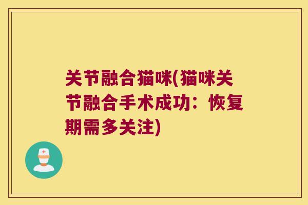 关节融合猫咪(猫咪关节融合手术成功:恢复期需多关注)