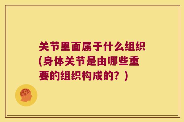 关节里面属于什么组织(身体关节是由哪些重要的组织构成的?)
