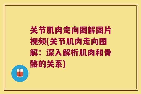 关节肌肉走向图解图片视频(关节肌肉走向图解:深入解析肌肉和骨骼的关系)