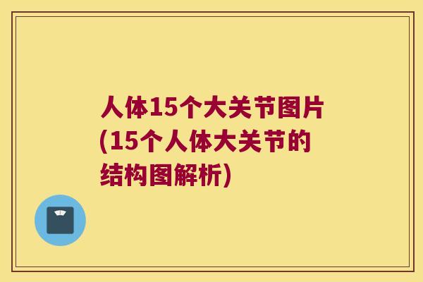 人体15个大关节图片(15个人体大关节的结构图解析)