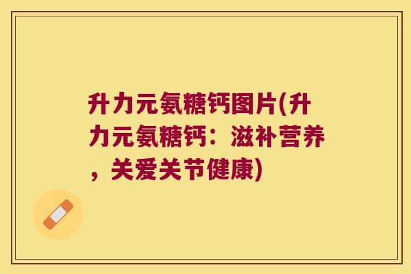 升力元氨糖钙图片(升力元氨糖钙:滋补营养,关爱关节健康)