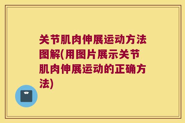 关节肌肉伸展运动方法图解(用图片展示关节肌肉伸展运动的正确方法)