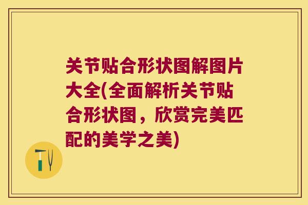 关节贴合形状图解图片大全(全面解析关节贴合形状图,欣赏完美匹配的美学之美)