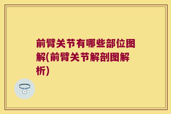 前臂关节有哪些部位图解(前臂关节解剖图解析)