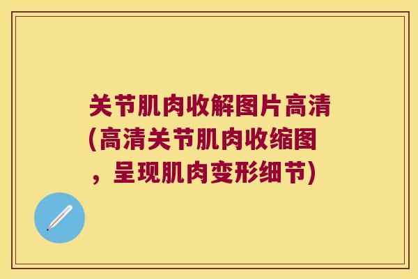 关节肌肉收解图片高清(高清关节肌肉收缩图,呈现肌肉变形细节)