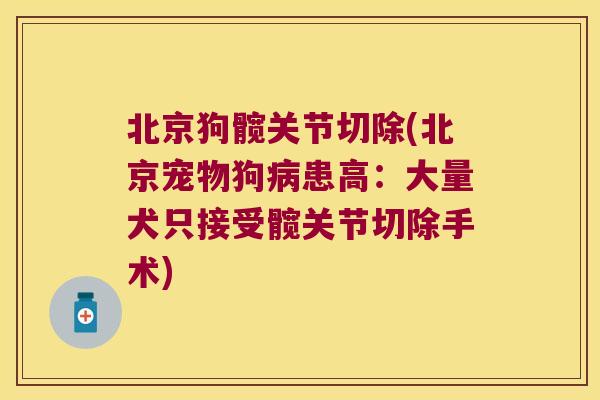 北京狗髋关节切除(北京宠物狗病患高:大量犬只接受髋关节切除手术)