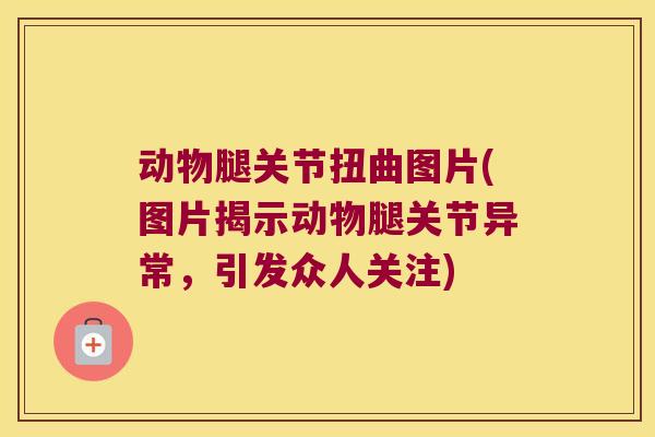 动物腿关节扭曲图片(图片揭示动物腿关节异常,引发众人关注)