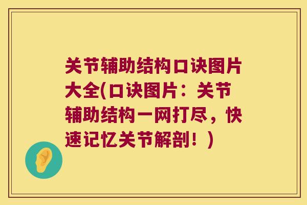 关节辅助结构口诀图片大全(口诀图片:关节辅助结构一网打尽,快速记忆关节解剖!)