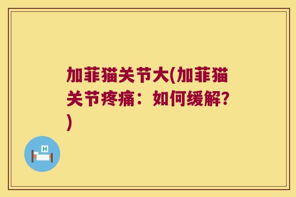 加菲猫关节大(加菲猫关节疼痛:如何缓解?)