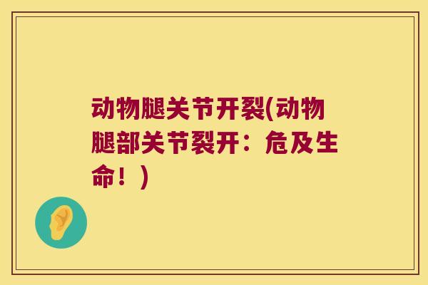 动物腿关节开裂(动物腿部关节裂开:危及生命!)