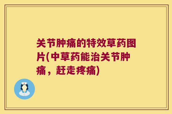 关节肿痛的特效草药图片(中草药能治关节肿痛,赶走疼痛)