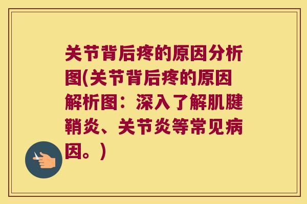 关节背后疼的原因分析图(关节背后疼的原因解析图:深入了解肌腱鞘炎、关节炎等常见病因。)