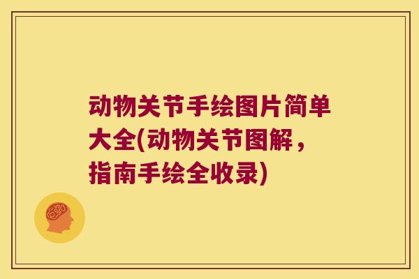 动物关节手绘图片简单大全(动物关节图解,指南手绘全收录)