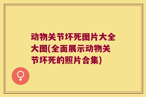 动物关节坏死图片大全大图(全面展示动物关节坏死的照片合集)