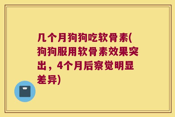 几个月狗狗吃软骨素(狗狗服用软骨素效果突出,4个月后察觉明显差异)