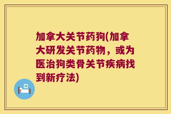 加拿大关节药狗(加拿大研发关节药物,或为医治狗类骨关节疾病找到新疗法)