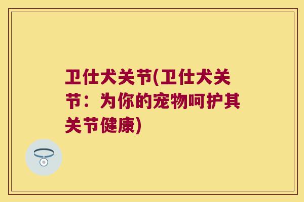 卫仕犬关节(卫仕犬关节:为你的宠物呵护其关节健康)