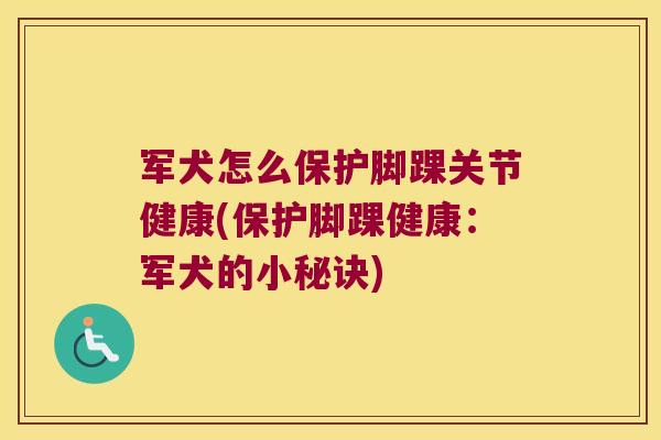 军犬怎么保护脚踝关节健康(保护脚踝健康:军犬的小秘诀)