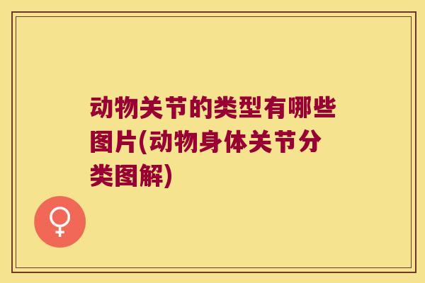 动物关节的类型有哪些图片(动物身体关节分类图解)