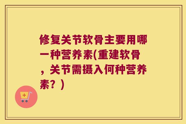 修复关节软骨主要用哪一种营养素(重建软骨,关节需摄入何种营养素?)