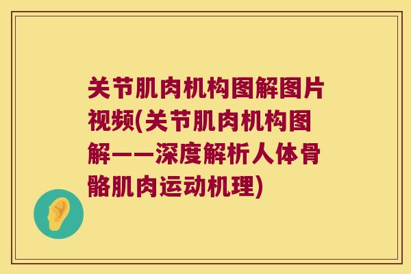 关节肌肉机构图解图片视频(关节肌肉机构图解——深度解析人体骨骼肌肉运动机理)