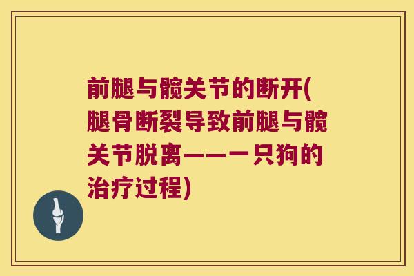 前腿与髋关节的断开(腿骨断裂导致前腿与髋关节脱离——一只狗的治疗过程)