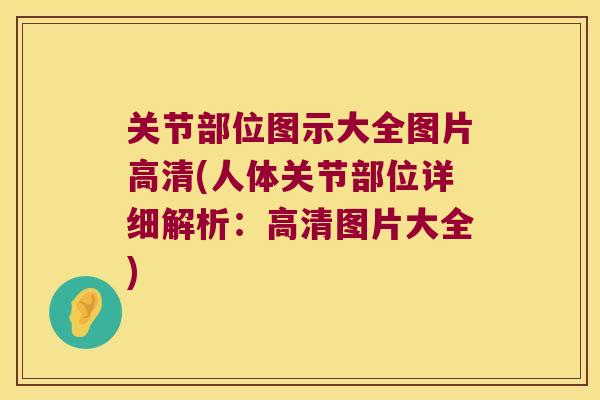 关节部位图示大全图片高清(人体关节部位详细解析:高清图片大全)