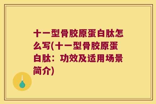 十一型骨胶原蛋白肽怎么写(十一型骨胶原蛋白肽:功效及适用场景简介)