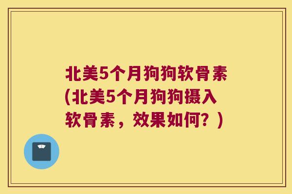 北美5个月狗狗软骨素(北美5个月狗狗摄入软骨素，效果如何？)