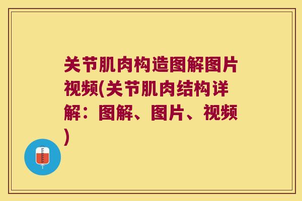 关节肌肉构造图解图片视频(关节肌肉结构详解:图解、图片、视频)