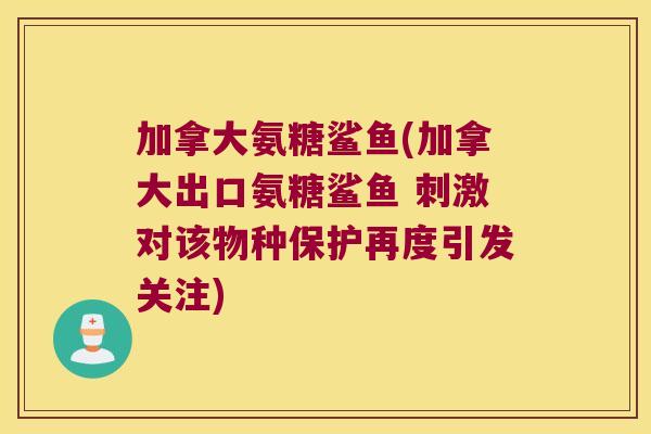 加拿大氨糖鲨鱼(加拿大出口氨糖鲨鱼 刺激对该物种保护再度引发关注)