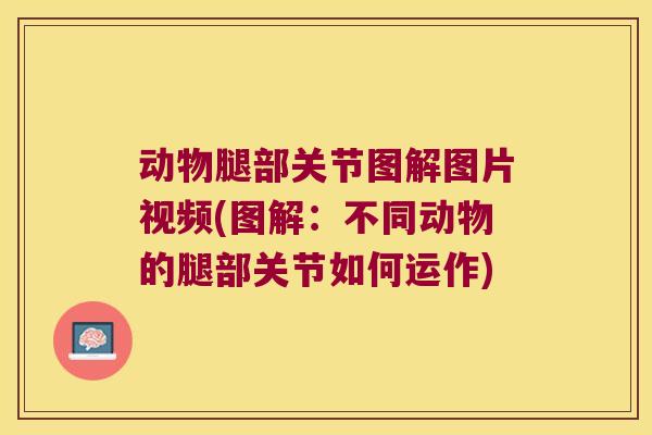 动物腿部关节图解图片视频(图解:不同动物的腿部关节如何运作)