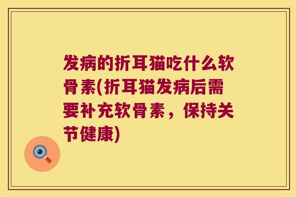 发病的折耳猫吃什么软骨素(折耳猫发病后需要补充软骨素,保持关节健康)