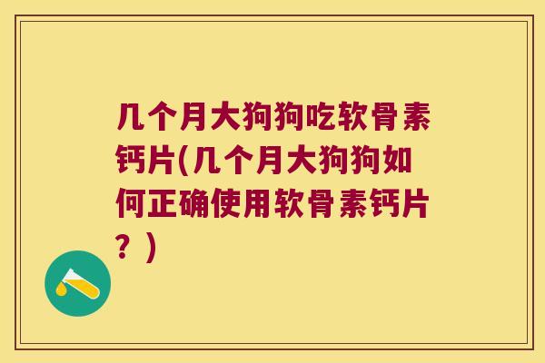 几个月大狗狗吃软骨素钙片(几个月大狗狗如何正确使用软骨素钙片?) 几个月大狗狗吃软骨素钙片(几个月大狗狗如何正确使用软骨素钙片?)