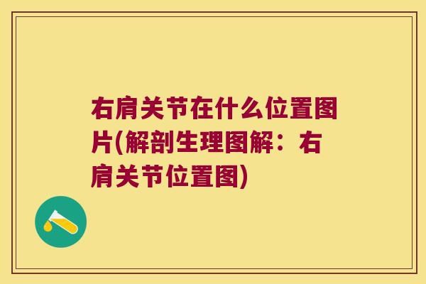 右肩关节在什么位置图片(解剖生理图解:右肩关节位置图) 右肩关节在什么位置图片(解剖生理图解:右肩关节位置图)